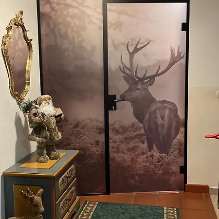 Appartementhaus Fichtern 상트조한인티롤